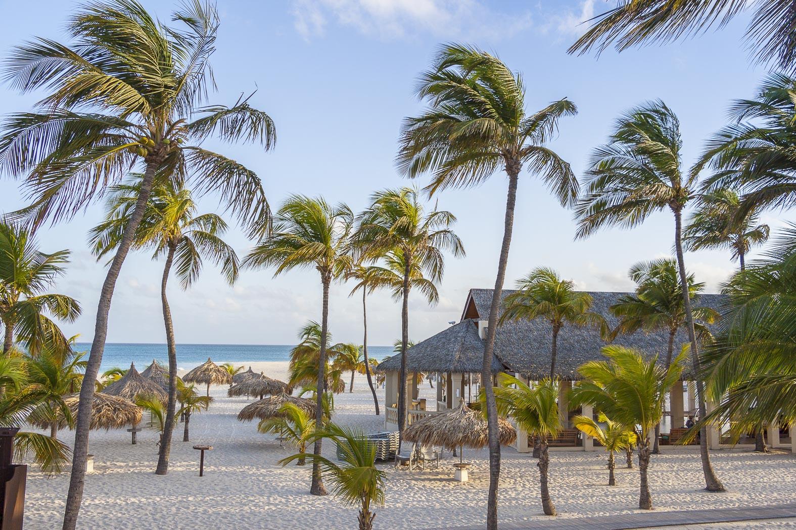 Manchebo Beach Resort And Spa Palm Beach Exteriör bild